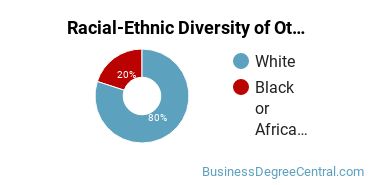 Racial-Ethnic Diversity of Other Entrepreneurial and Small Business Operations Majors at Owens Community College
