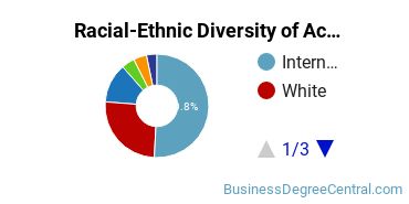 Racial-Ethnic Diversity of Accounting Majors at Pace University - New York