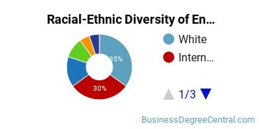 Racial-Ethnic Diversity of Entrepreneurship Majors at Pace University - New York