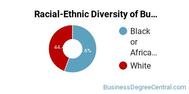 Racial-ethnic diversity of Business Administration & Management majors at Paine College