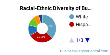 Racial-ethnic diversity of Business Administration & Management majors at Palm Beach State College