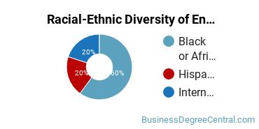 Racial-ethnic diversity of Entrepreneurial Studies majors at Palm Beach State College