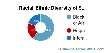 Racial-Ethnic Diversity of Small Business Administration/Management Majors at Palm Beach State College