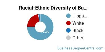 Racial-ethnic diversity of Business Administration & Management majors at Palo Alto College