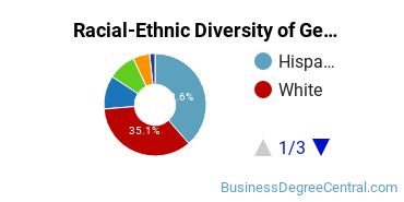 Racial-Ethnic Diversity of General Business/Commerce Majors at Palomar College