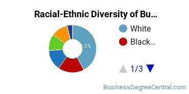 Racial-ethnic diversity of Business Administration & Management majors at Park University