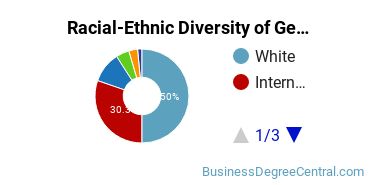 Racial-Ethnic Diversity of General Economics Majors at Pennsylvania State University - World Campus