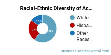 Racial-Ethnic Diversity of Accounting Majors at Point Loma Nazarene University
