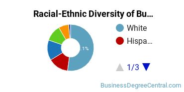 Racial-Ethnic Diversity of Business Management & Marketing Majors at Portland State University