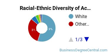 Racial-Ethnic Diversity of Accounting Majors at Post University