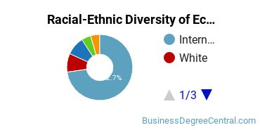 Racial-Ethnic Diversity of Econometrics & Quantitative Economics Majors at Princeton University