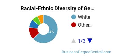Racial-Ethnic Diversity of General Economics Majors at Providence College