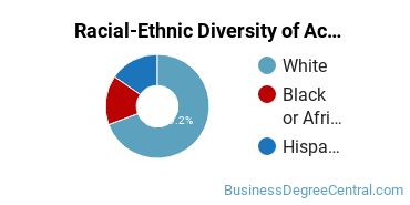 Racial-Ethnic Diversity of Accounting Technology/Technician and Bookkeeping Majors at Rasmussen College - Illinois
