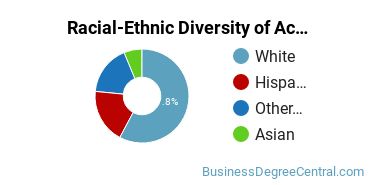Racial-Ethnic Diversity of Accounting Majors at Regis University