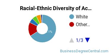 Racial-Ethnic Diversity of Accounting Majors at Regis University