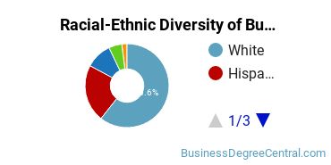 Racial-ethnic diversity of Business Administration & Management majors at Regis University