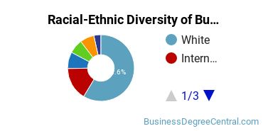Racial-ethnic diversity of Business Administration & Management majors at Rensselaer Polytechnic Institute