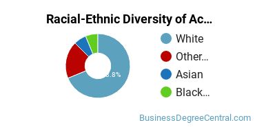 Racial-Ethnic Diversity of Accounting Majors at Rhode Island College