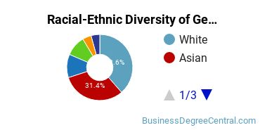 Racial-Ethnic Diversity of General Economics Majors at Rice University