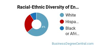 Racial-Ethnic Diversity of Entrepreneurship Majors at Rider University