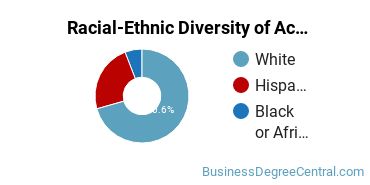 Racial-Ethnic Diversity of Accounting Majors at Rio Salado College