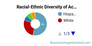 Racial-Ethnic Diversity of Accounting Technology/Technician and Bookkeeping Majors at Riverside City College