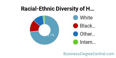 Racial-ethnic diversity of Human Resource Management majors at Robert Morris University