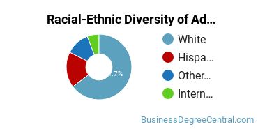 Racial-Ethnic Diversity of Advertising Majors at Rochester Institute of Technology