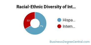 Racial-Ethnic Diversity of International Business/Trade/Commerce Majors at Rockland Community College