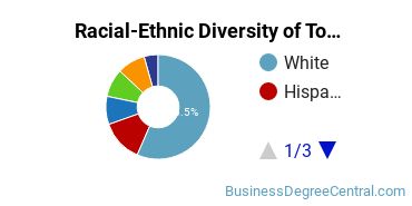 Racial-Ethnic Diversity of Tourism Promotion Operations Majors at Rockland Community College