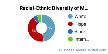 Racial-Ethnic Diversity of Marketing/Marketing Management, General Majors at Roosevelt University