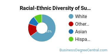 Racial-Ethnic Diversity of Supply Chain Management Majors at Rowan University