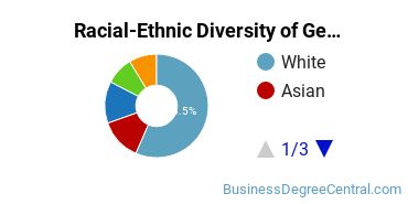 Racial-Ethnic Diversity of General Economics Majors at Rowan University