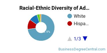Racial-Ethnic Diversity of Advertising Majors at Rowan University