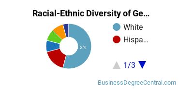 Racial-Ethnic Diversity of General Economics Majors at Rutgers University - Camden