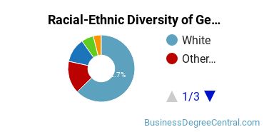 Racial-Ethnic Diversity of General Economics Majors at Saddleback College