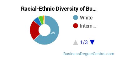Racial-ethnic diversity of Business Administration & Management majors at Saginaw Valley State University