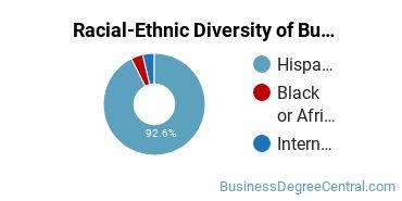 Racial-ethnic diversity of Business Administration & Management majors at St. Augustine College