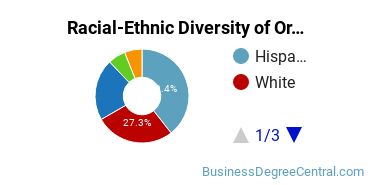 Racial-Ethnic Diversity of Organizational Leadership Majors at Saint Edward's University