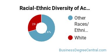 Racial-Ethnic Diversity of Accounting Majors at Saint Joseph's College of Maine