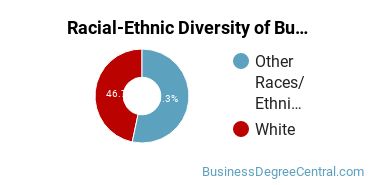 Racial-ethnic diversity of Business Administration & Management majors at Saint Joseph's College of Maine