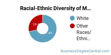 Racial-Ethnic Diversity of Marketing/Marketing Management, General Majors at Saint Joseph's College of Maine