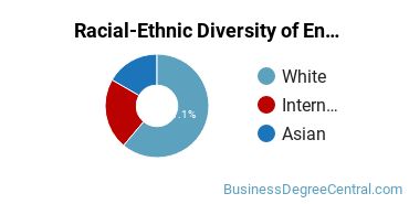 Racial-Ethnic Diversity of Entrepreneurship Majors at Saint Louis University