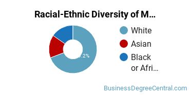 Racial-ethnic diversity of Management Information Systems majors at Saint Louis University
