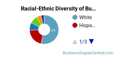 Racial-ethnic diversity of Business Administration & Management majors at Saint Martin's University
