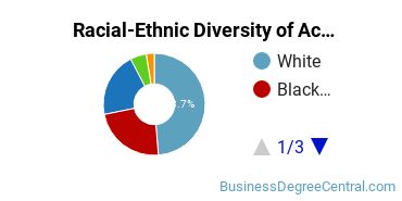 Racial-Ethnic Diversity of Accounting Majors at Saint Mary's University of Minnesota