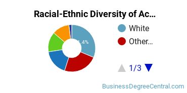 Racial-Ethnic Diversity of Accounting Majors at Saint Mary's University of Minnesota