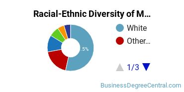 Racial-Ethnic Diversity of Marketing/Marketing Management, General Majors at Saint Mary's University of Minnesota