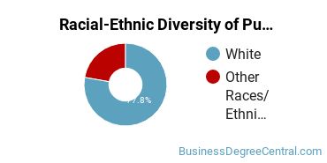 Racial-Ethnic Diversity of Public Relations, Advertising, & Applied Communication Majors at Saint Mary's University of Minnesota