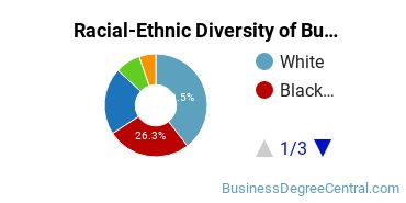 Racial-ethnic diversity of Business Administration & Management majors at Saint Paul College